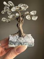 Clear Quartz Tree - Mini