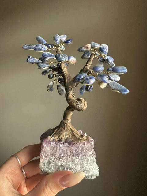 Sodalite and Amethyst Tree - Medium