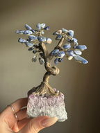 Sodalite and Amethyst Tree - Medium