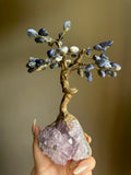 Sodalite and Amethyst Tree - Medium