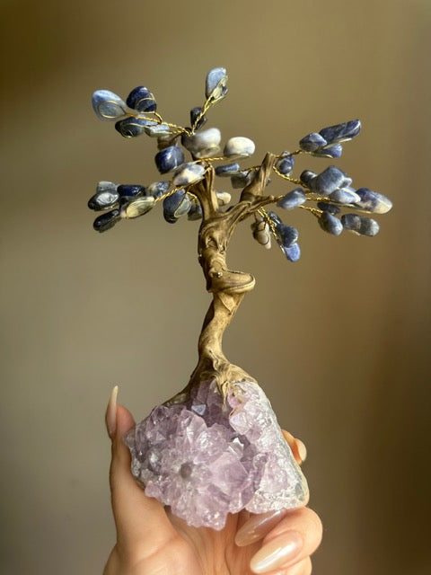 Sodalite and Amethyst Tree - Medium