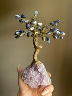 Sodalite and Amethyst Tree - Medium