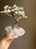 Clear Quartz Tree - Medium