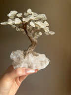 Clear Quartz Tree - Medium