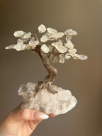 Clear Quartz Tree - Medium