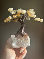 Citrine Crystal Tree - Mini