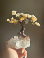 Citrine Crystal Tree - Mini