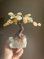 Citrine Crystal Tree - Mini