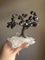 Black Tourmaline and Clear Quartz Tree