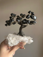 Black Tourmaline and Clear Quartz Tree