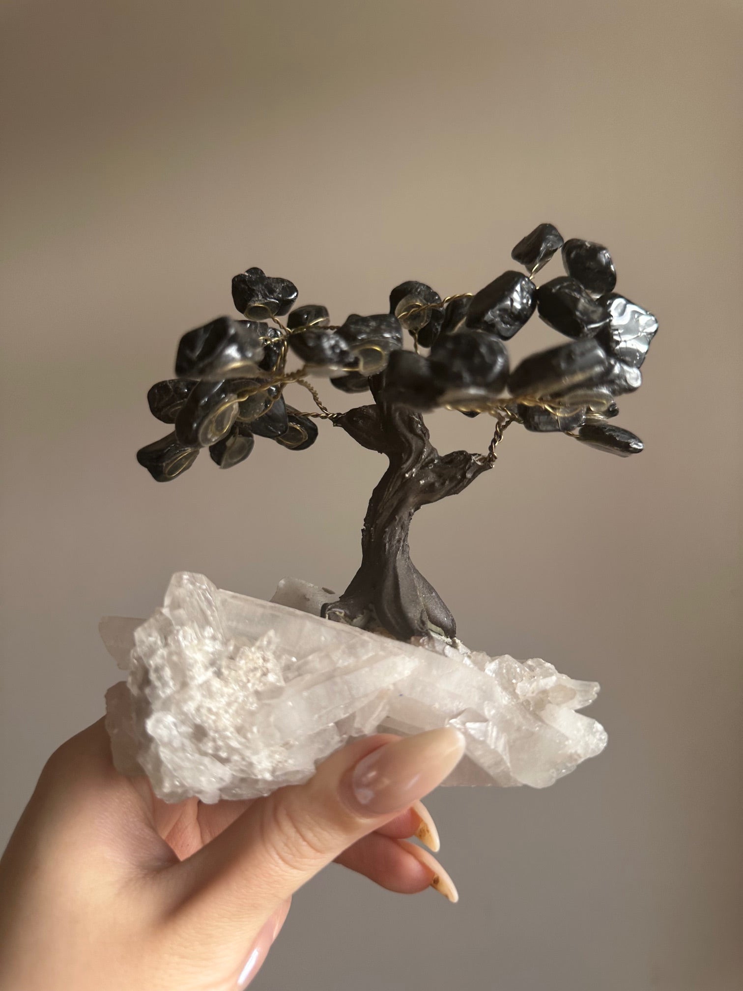 Black Tourmaline and Clear Quartz Tree
