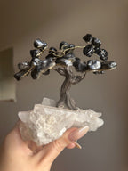 Black Tourmaline and Clear Quartz Tree