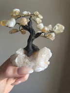 Citrine Crystal Tree - Medium