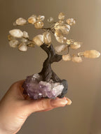 Citrine and Amethyst Crystal Tree